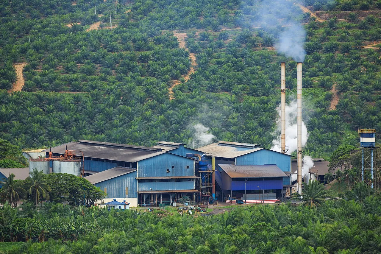 Palm oil mill facility used for industrial processing