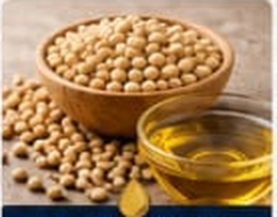 Supplied product photograph representing Soyabean Oil
